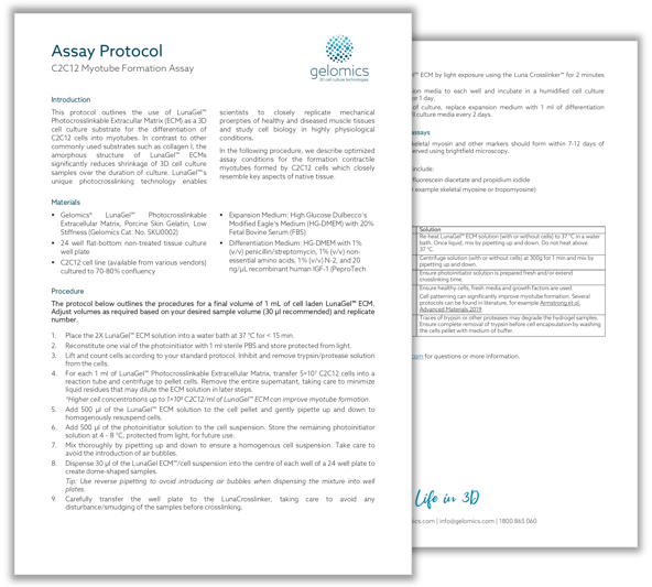 A preview image of the downloadable WhitePaper.