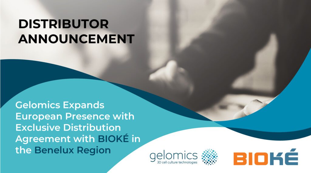 Distributor announcement banner. It features the Gelomics and BIOKÉ logos. Text reads "Gelomics Expands European Presence with Exclusive Distribution Agreement with BIOKÉ in the Benelux Region".